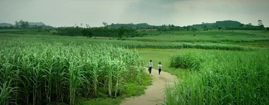 Đi tìm đất sống cho những bộ phim "tử tế" giữa thời kỳ ăn xổi ảnh 6