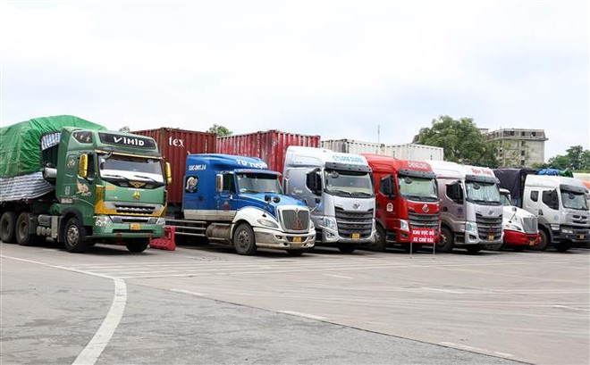 Chủ động về an toàn phòng chống dịch để xuất khẩu thông suốt ảnh 1