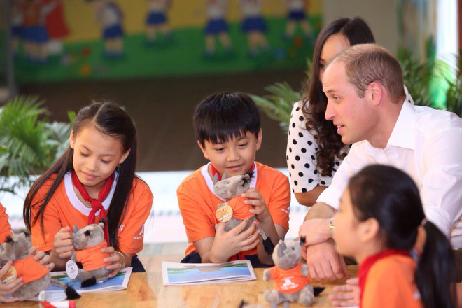 Hoàng tử Anh William thăm cửa hàng Đông y trên phố cổ Hà Nội ảnh 3