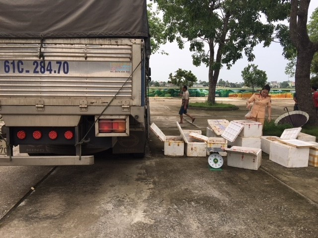 Bắt giữ xe tải vận chuyển 250kg thịt gà đang bị phân hủy, bốc mùi ảnh 1