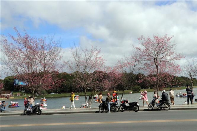 Sáp nhập, mở rộng không gian đô thị hai thành phố Đà Lạt và Bảo Lộc ảnh 1
