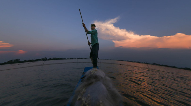 [Photo] Mưu sinh mùa nước nổi ở Đồng bằng sông Cửu Long ảnh 4