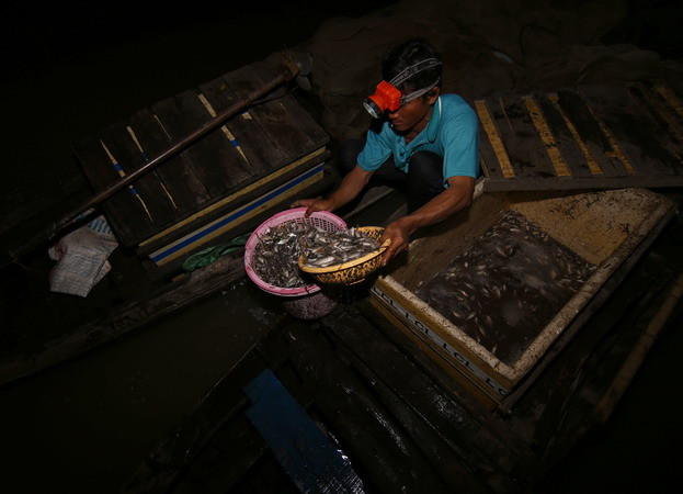 [Photo] Mưu sinh mùa nước nổi ở Đồng bằng sông Cửu Long ảnh 1