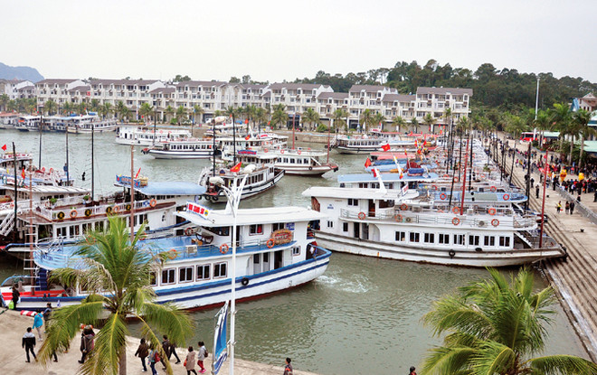 Diễn biến bão số 10: Hai tàu bị chìm trên vùng biển Quảng Ninh ảnh 1