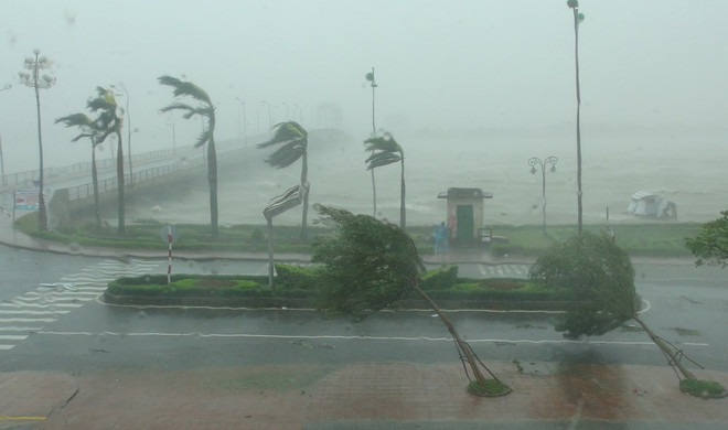 Diễn biến bão số 10: Nhiều tuyến đường Quảng Bình ngập sâu trong nước ảnh 1