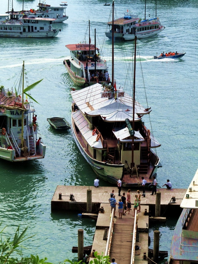 Đắm mình trên du thuyền để khám phá kỳ quan Vịnh Hạ Long ảnh 2