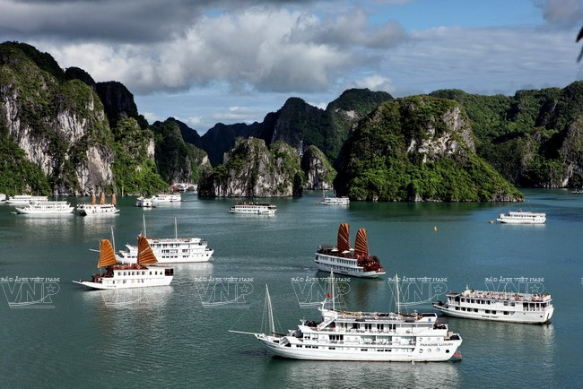 Đắm mình trên du thuyền để khám phá kỳ quan Vịnh Hạ Long ảnh 1