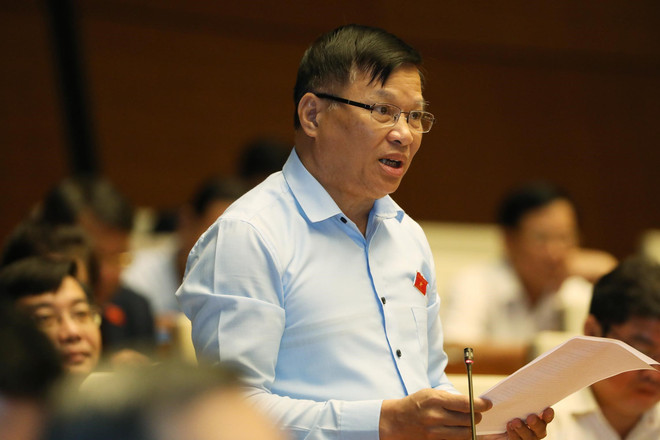 Tạo môi trường thuận lợi để các loại hình kinh doanh phát triển ảnh 2