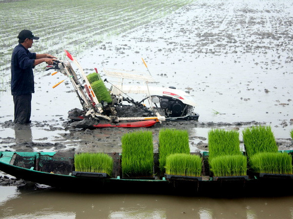 Cần Thơ mời gọi đầu tư vào khu nông nghiệp công nghệ cao ảnh 1