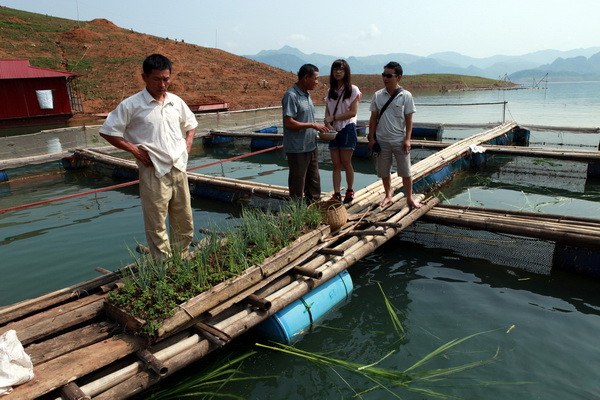 Lên Tây Bắc ngắm sông Đà đẹp hiền hòa trong mùa nước cạn ảnh 7