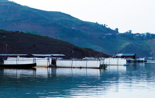 Lên Tây Bắc ngắm sông Đà đẹp hiền hòa trong mùa nước cạn ảnh 14