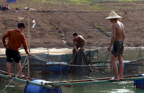 Lên Tây Bắc ngắm sông Đà đẹp hiền hòa trong mùa nước cạn ảnh 11