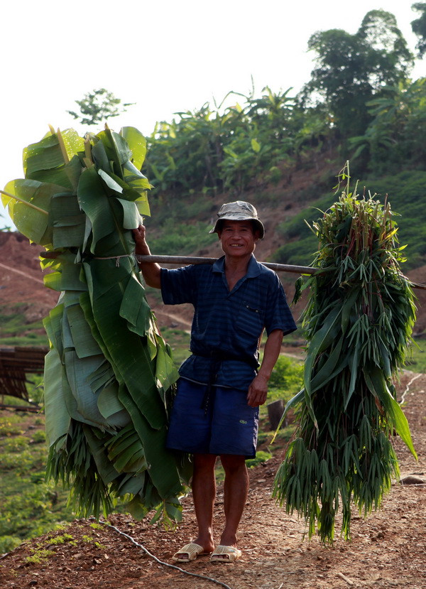 Lên Tây Bắc ngắm sông Đà đẹp hiền hòa trong mùa nước cạn ảnh 13