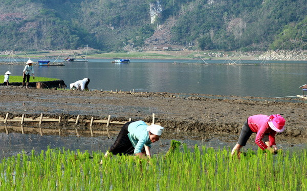 Lên Tây Bắc ngắm sông Đà đẹp hiền hòa trong mùa nước cạn ảnh 22