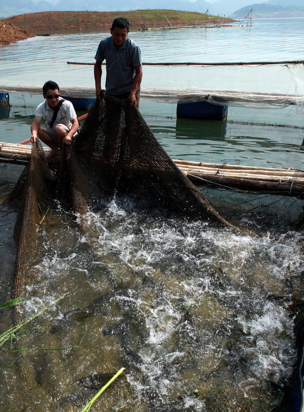 Lên Tây Bắc ngắm sông Đà đẹp hiền hòa trong mùa nước cạn ảnh 8