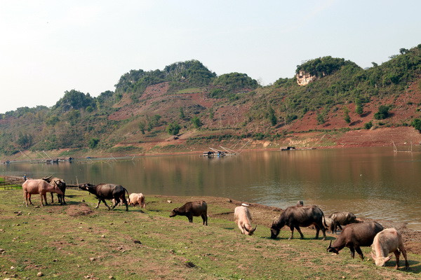 Lên Tây Bắc ngắm sông Đà đẹp hiền hòa trong mùa nước cạn ảnh 21