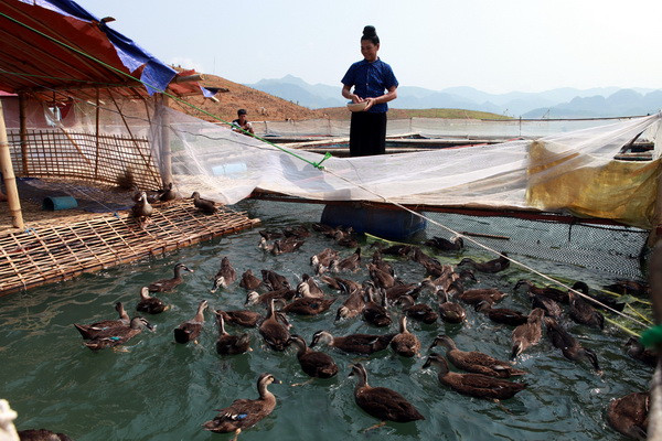 Lên Tây Bắc ngắm sông Đà đẹp hiền hòa trong mùa nước cạn ảnh 9
