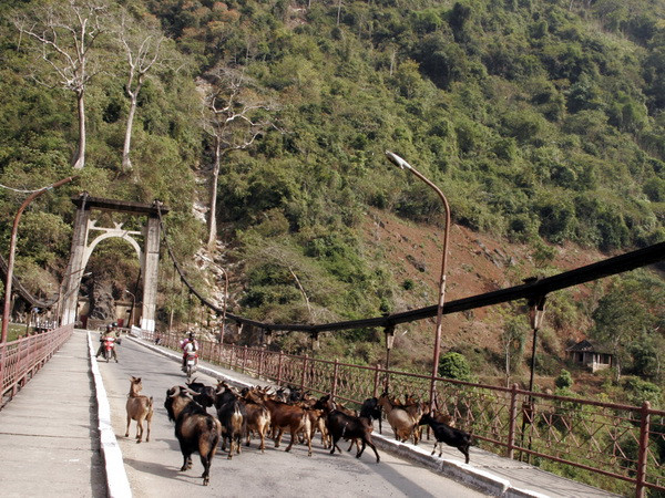 Lên Tây Bắc ngắm sông Đà đẹp hiền hòa trong mùa nước cạn ảnh 2