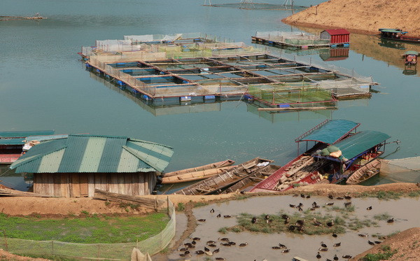 Lên Tây Bắc ngắm sông Đà đẹp hiền hòa trong mùa nước cạn ảnh 6