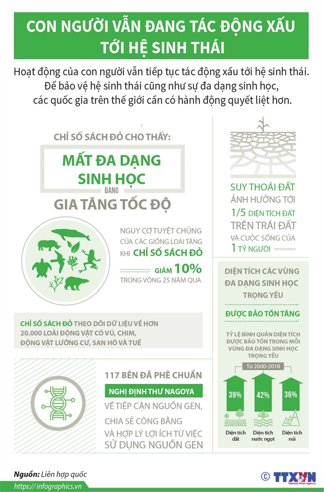 Khắc phục suy thoái đa dạng sinh học: Thách thức và định hướng ảnh 3