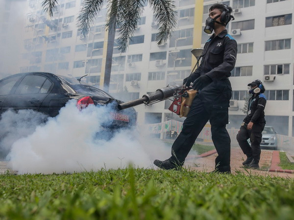 Singapore phát hiện một ổ dịch phát tán virus Zika mới ảnh 1