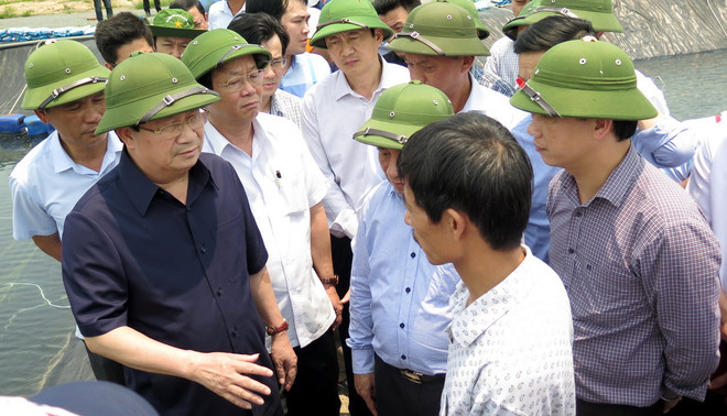 Phó Thủ tướng yêu cầu báo chí đưa tin khách quan về vụ cá chết ảnh 1