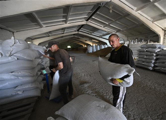 Australia sẽ dỡ bỏ thuế quan đối với hàng hóa của Ukraine ảnh 1