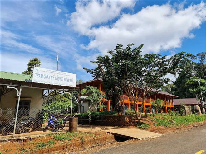 Làm rõ vấn đề sử dụng vốn tại Công ty Lâm nghiệp Nam Tây Nguyên ảnh 1