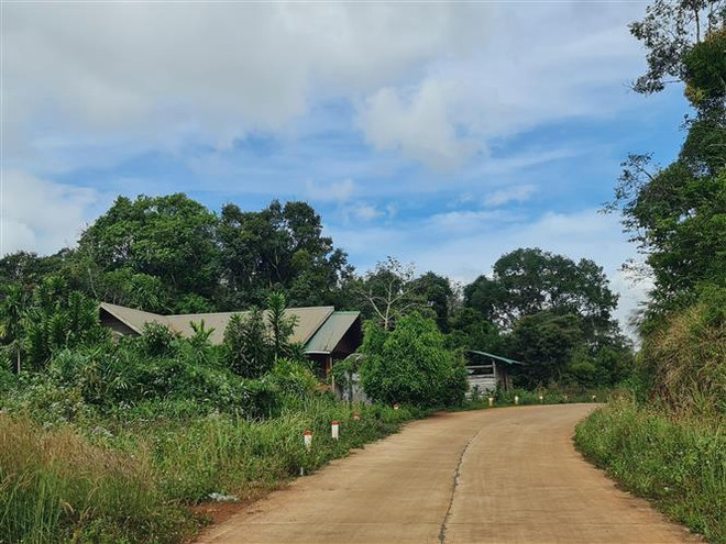 Làm rõ vấn đề sử dụng vốn tại Công ty Lâm nghiệp Nam Tây Nguyên ảnh 3