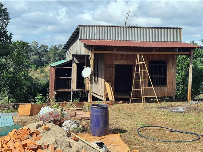 Làm rõ vấn đề sử dụng vốn tại Công ty Lâm nghiệp Nam Tây Nguyên ảnh 2