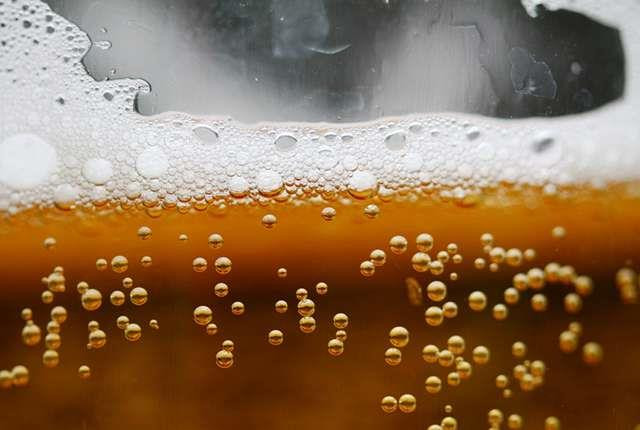 Israel sản xuất thành công bia bằng loại men cách đây hơn 5.000 năm ảnh 1