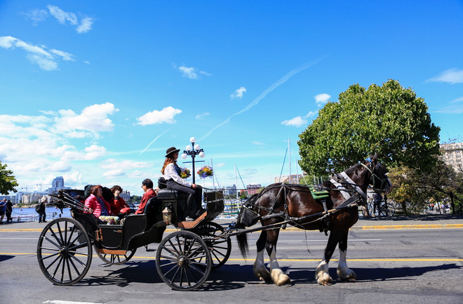 Một ngày trên “đảo ngọc” Victoria - danh thắng bậc nhất Bắc Mỹ ảnh 4