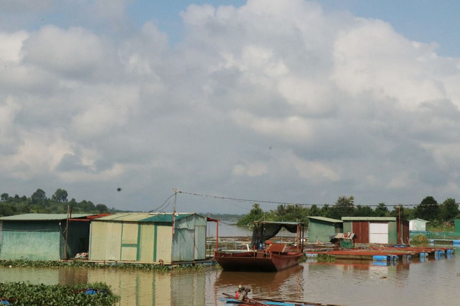 thuy san long be_dak lak 2.jpg