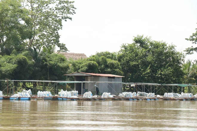 thuy san long be_dak lak 3.jpg