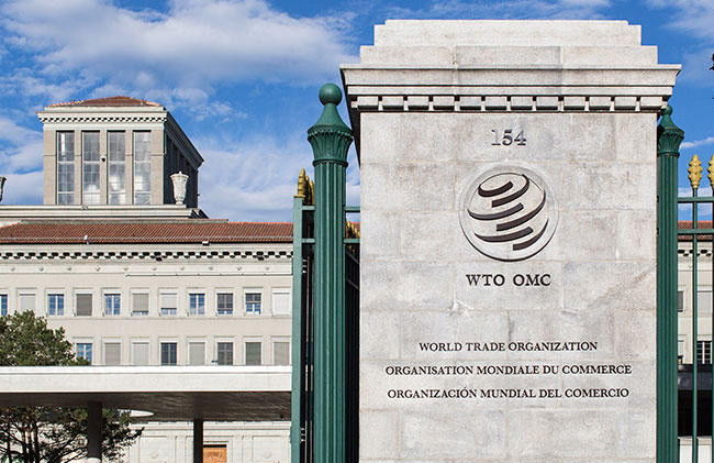 Thổ Nhĩ Kỳ khiếu nại Mỹ lên WTO phản đối tăng thuế nhập khẩu ảnh 1