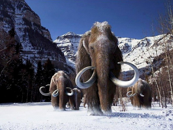 Kỷ băng hà mới bắt đầu từ mùa Đông năm nay do biến đổi khí hậu? ảnh 1