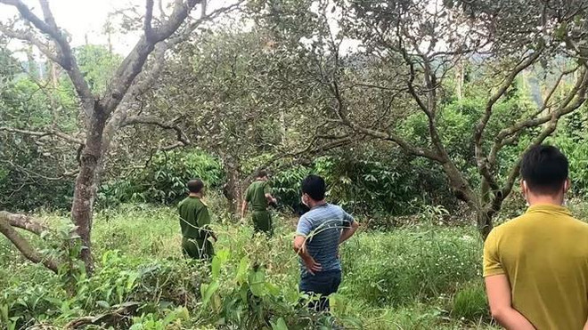 Bình Phước: Điều tra vụ người đàn ông tử vong trong rẫy càphê ảnh 1