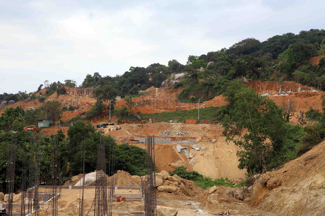 Đà Nẵng báo cáo việc rà soát các dự án liên quan đến quy hoạch Sơn Trà ảnh 1