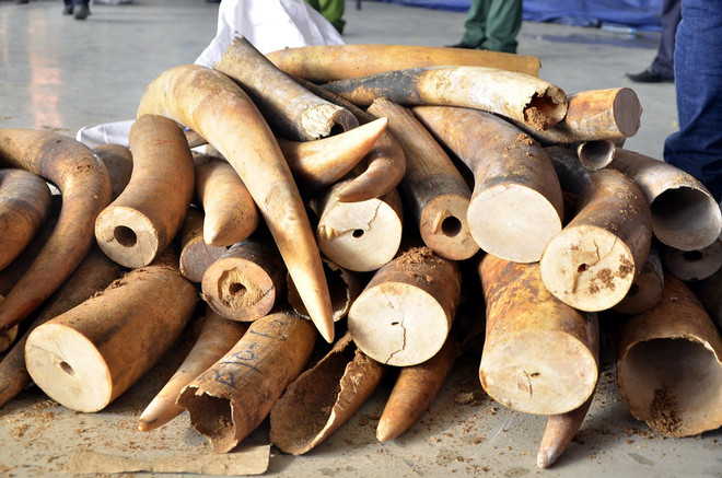 Phó Thủ tướng chỉ đạo xử lý vụ cán bộ hải quan đánh tráo tang vật ảnh 1