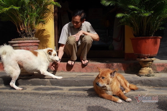 Khuyến cáo người dân phòng lây nhiễm bệnh đậu mùa khỉ ở động vật ảnh 1