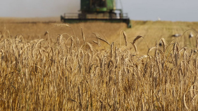 Nga bắt đầu cung cấp ngũ cốc cho Iran theo thỏa thuận đổi hàng ảnh 1