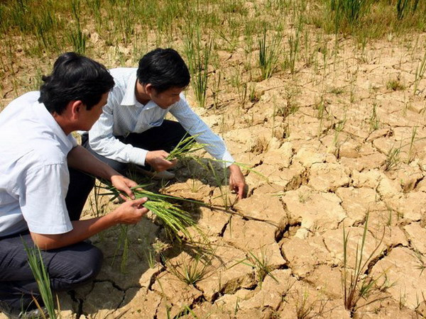 Trung Bộ chủ động đối phó tình trạng thiếu nước, khô hạn ảnh 1