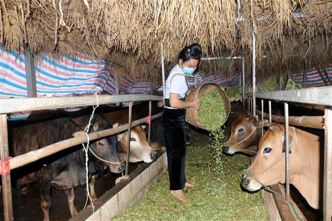 Nhận diện những ưu tiên trong chính sách xã hội của Việt Nam đến 2030 ảnh 2