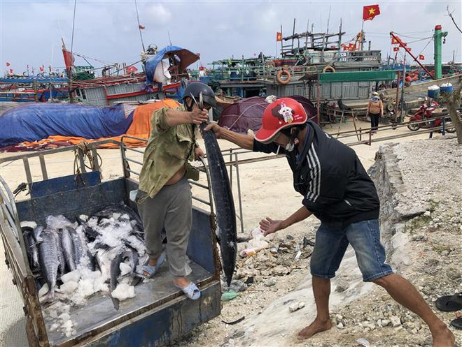 Giá nhiên liệu liên tiếp tăng cao gây khó cho ngư dân bám biển ảnh 1