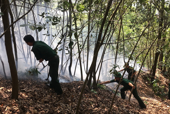 Huy động hơn 30 cán bộ tham gia dập lửa chữa cháy rừng ở Hải Phòng ảnh 1