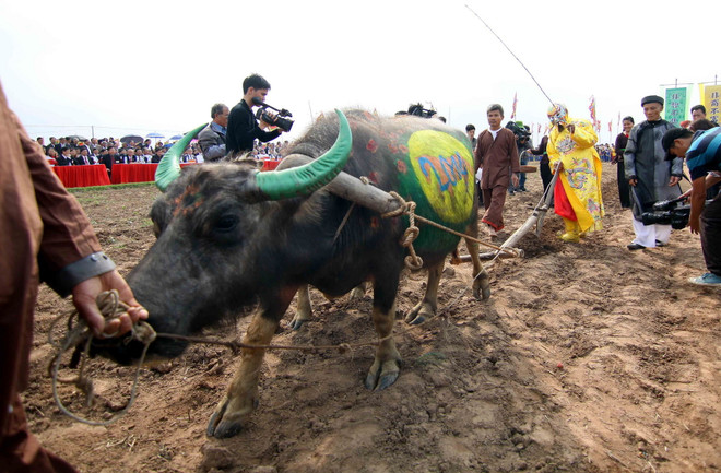 Tỉnh Hà Nam khai hội truyền thống Tịch điền Đọi Sơn 2015 ảnh 1