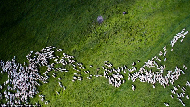 [Photo] Đắm mình trong những góc chụp của "người ngoài hành tinh" ảnh 6