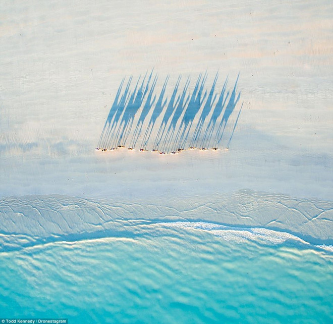 [Photo] Đắm mình trong những góc chụp của "người ngoài hành tinh" ảnh 4