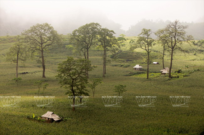 Lũng Vân – Địa danh nổi tiếng xứ Mường cổ đất Hòa Bình ảnh 2