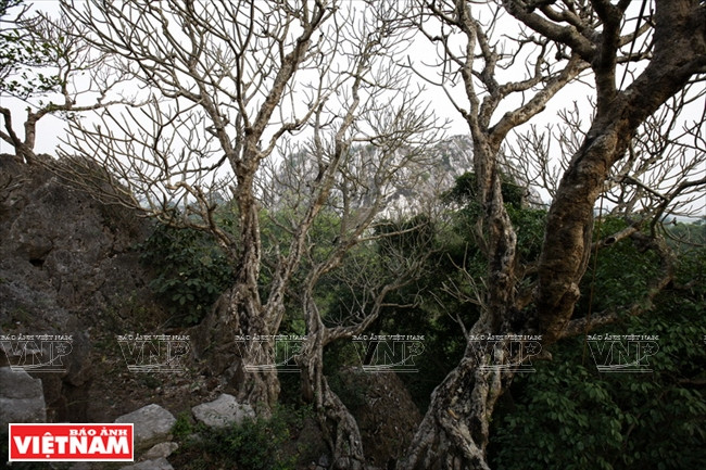 Thêm điểm du lịch hữu tình cuối tuần ngay gần trung tâm Thủ đô ảnh 5